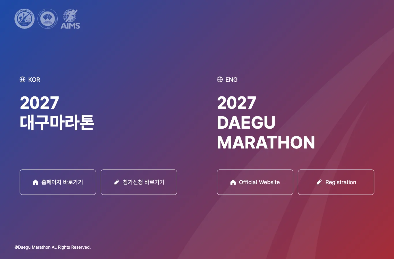 2027 대구마라톤 이미지